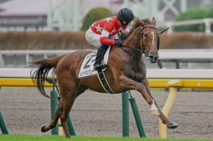 greatking_squid's tweet photo. 東京11R 東スポ杯2歳S

◉７.レッドキングリー

新馬戦の時よりもパドックの動きがかなり柔らかく距離短縮も歓迎とみました。 https://t.co/2xcrgrKn9x