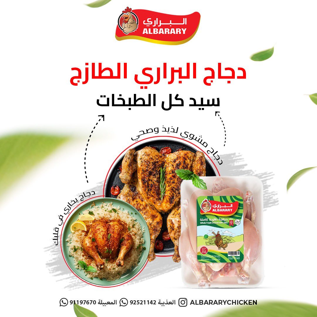 ALBARARY Chicken | دجاج البراري tweet media