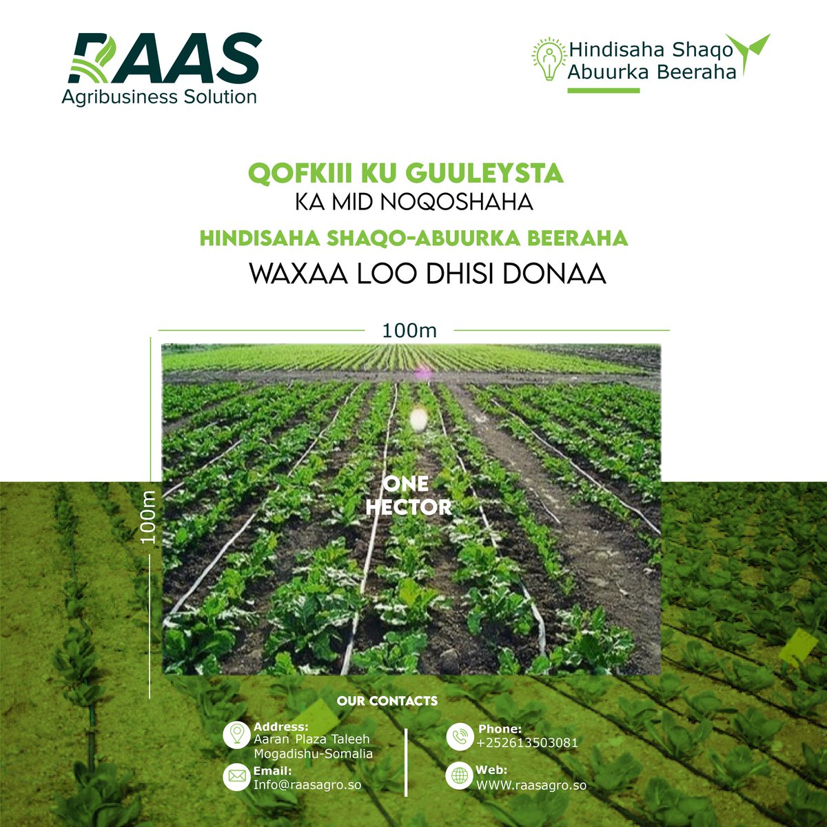 RAASAgribsuines's tweet photo. Qeybta 2aad. Qofkii ku guuleysta ka mid noqoshada Hindisaha Shaqo Abuurka Beeraha, Waxaa loo dhisi doonaa hal hektar oo leh nidaamka waraabka casriga ah (Drip Irrigation System), si loo dardargelino kobcinta wax-soosaarka gudaha iyo shaqo abuurka dhallinyradda soomaaliyeed. https://t.co/SejY4FlnmZ