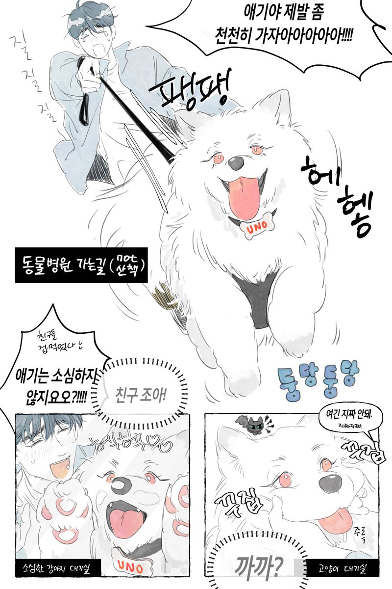 도믿걸용백이 tweet media