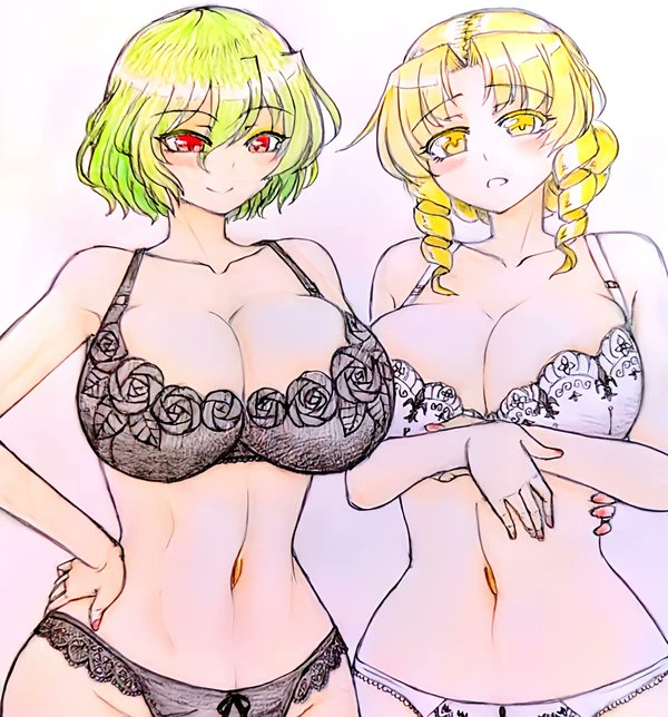 3年前の『黒下着幽香さん&白下着エリーさん』をリメイクしてみた。
←2021年     2024年→ 