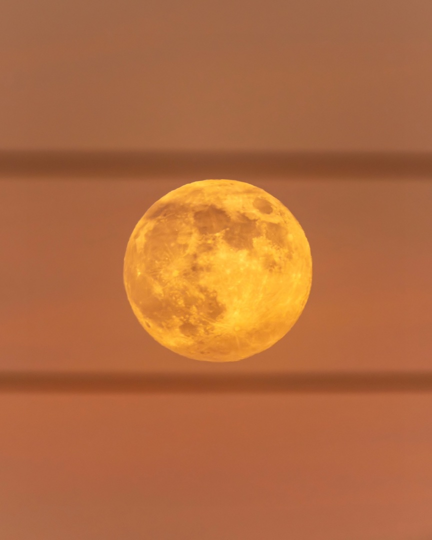 Ieri pomeriggio sarei dovuto essere a fare foto alla luna al posto giusto al momento giusto. Ma visto che la mia vita prende ogni giorno strade diverse dal previsto… mi sono ritrovato in ritardo in un posto in cui la sola cosa che potevo fare era fotogr… instagr.am/p/DCbC1NyNd8n/