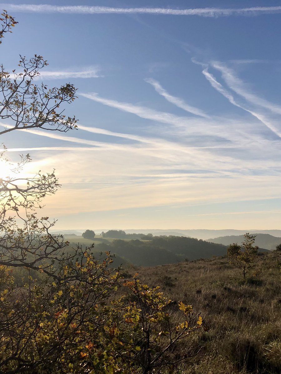 PennAllenwrites's tweet photo. Morning All, starting to get to grips with the local dog walking, all very beautiful, another piece of jigsaw falling into place. #dogwalking #housemove #swfrance #blue skies https://t.co/kNSLADk5qG