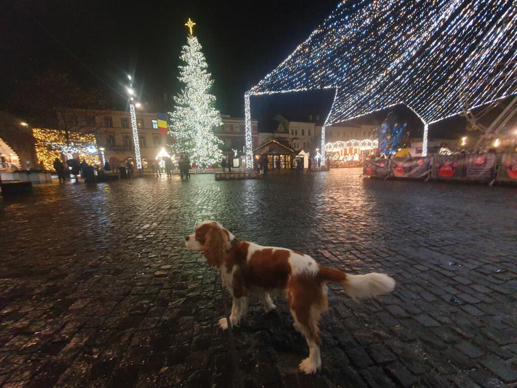 RJonTourUK tweet media