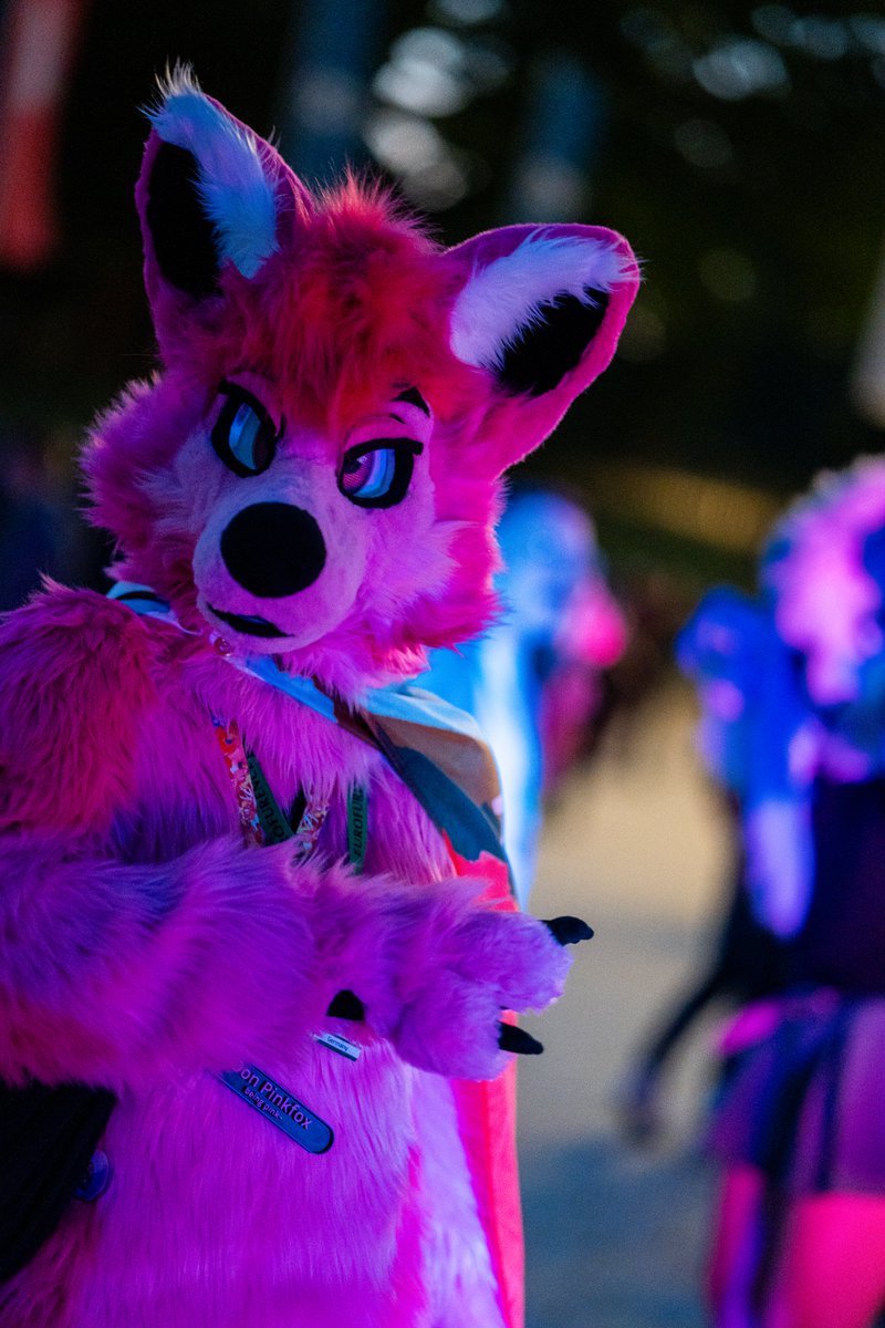 Hochenhain tweet media