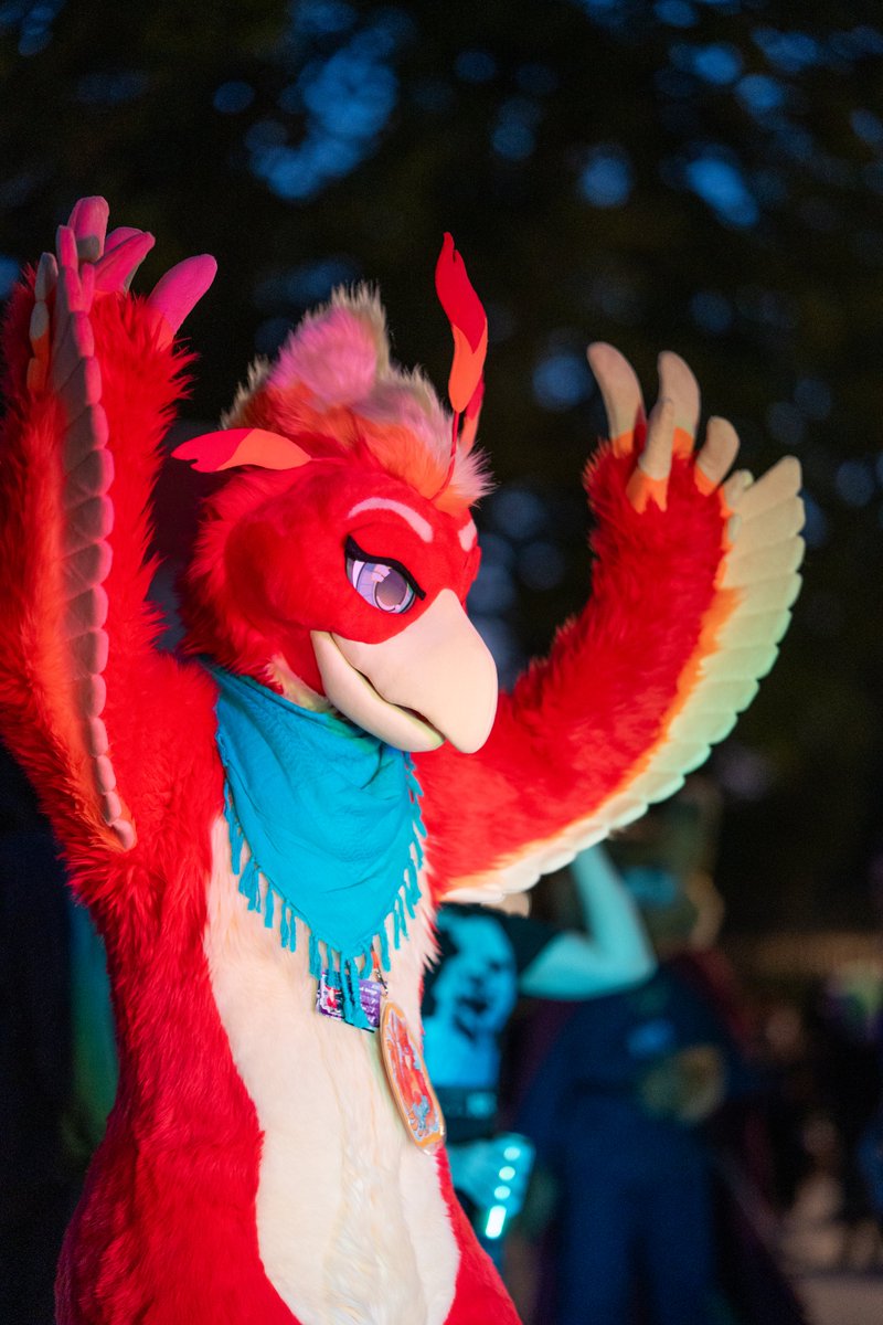 Hochenhain tweet media