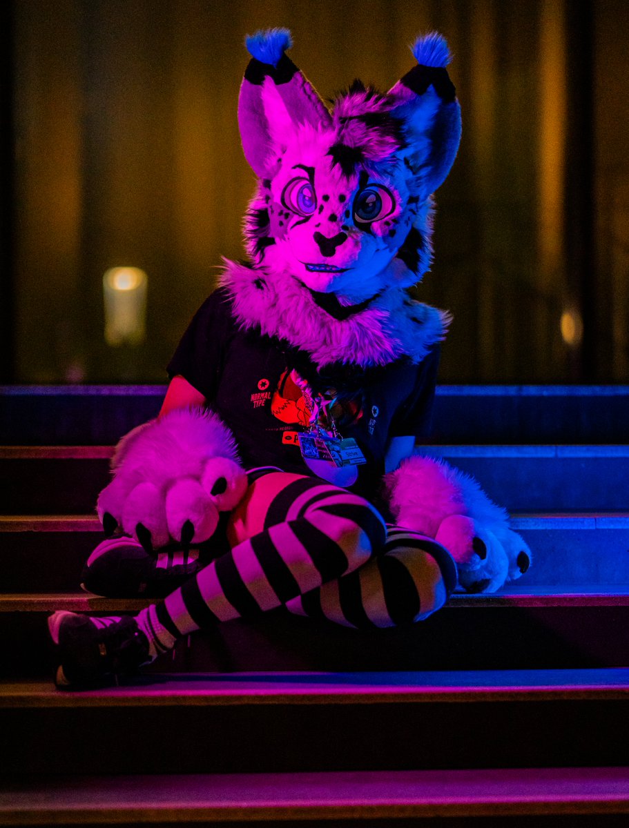 Hochenhain tweet media