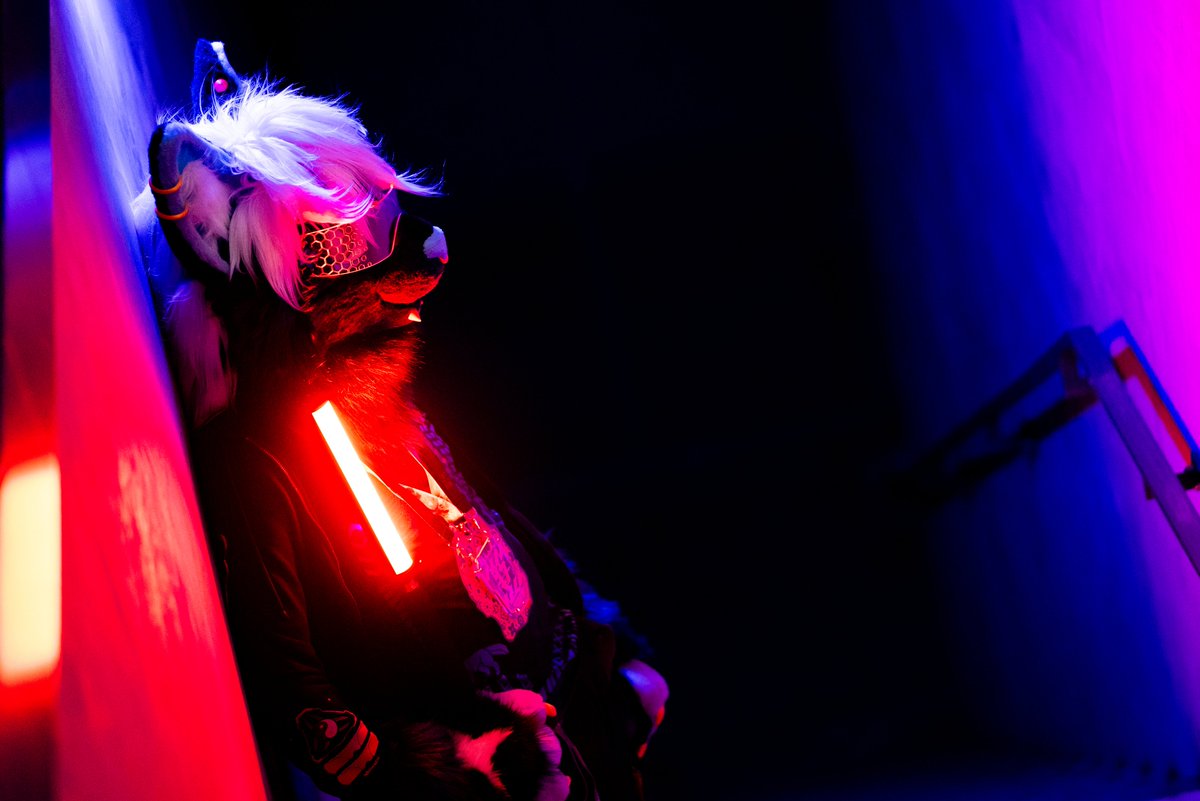 Hochenhain tweet media