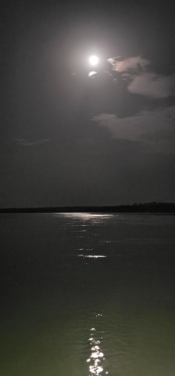 _painremains_'s tweet photo. Padang bulan 🌕🌕 https://t.co/dbek0J2FXc
