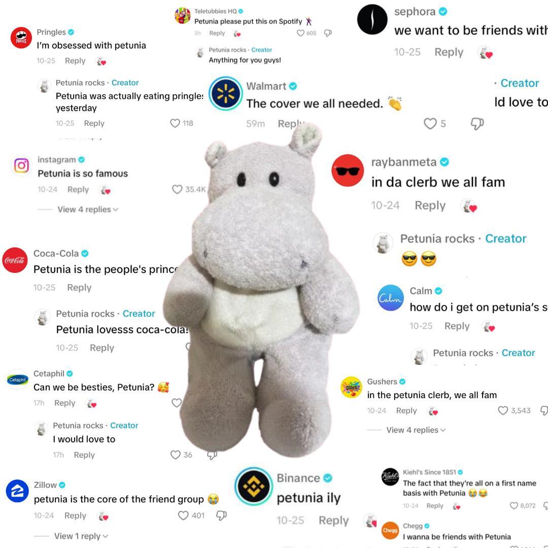 <a href="/blknoiz06/">Ansem</a> Do it 
Meet #petunia the cutest viral hippo on tiktok  take a look 
💞🤠🦛🚀