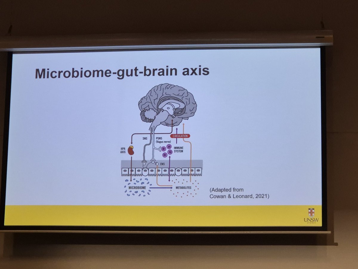 EmOsland's tweet photo. Take homes from #AuSPEN2024
🕑 muscle is lost fast, regained slowly
🦵 calf circ is a bedside option for monitoring muscle 
💻 AI has lots of healthcare applications we are only scratching the surface of
🤯 food affects mood via microbiome-gut-brain axis https://t.co/2RMMPZT38N