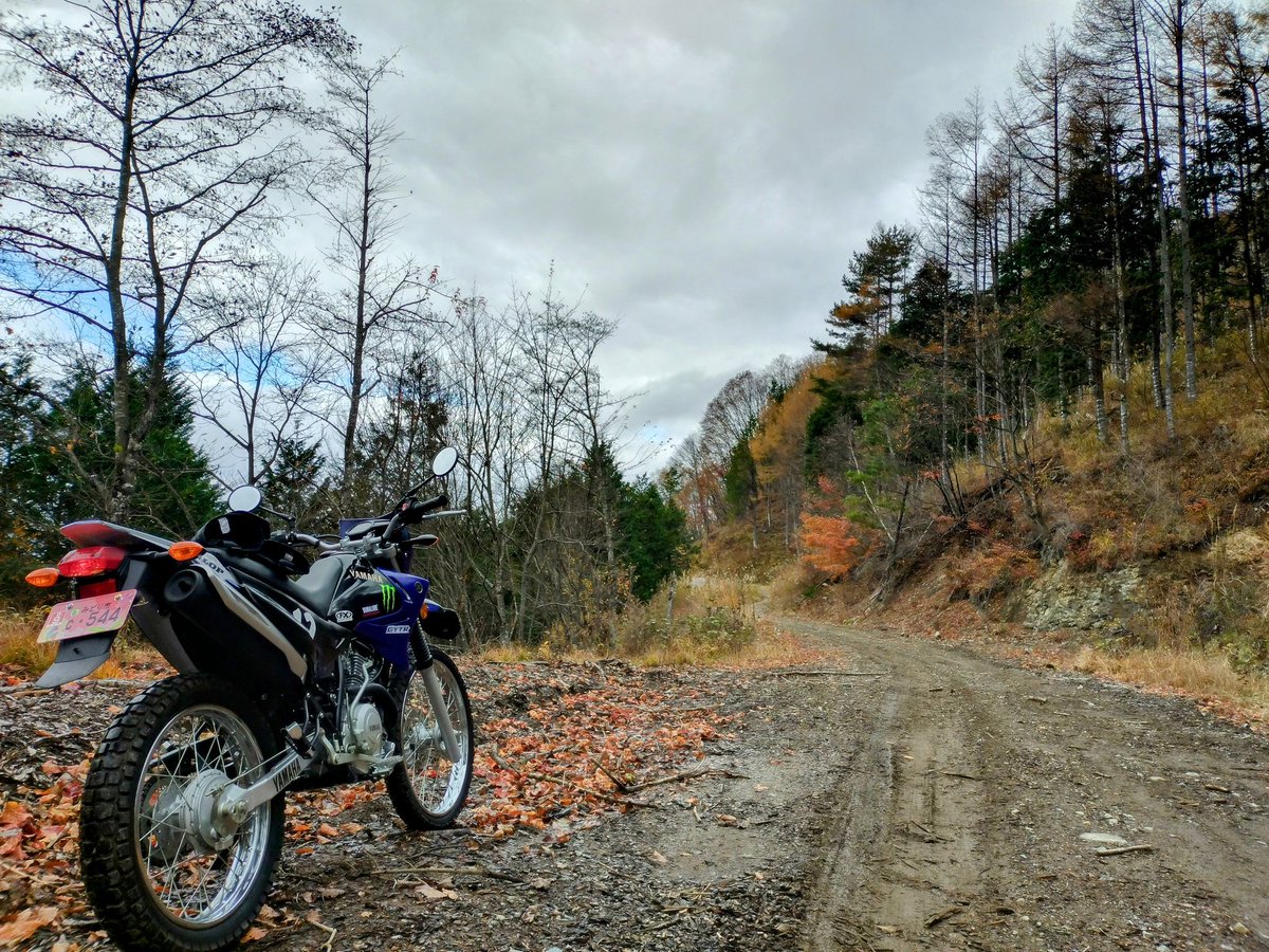 psycho_kuma's tweet photo. 林道楽しい！
原二なら気兼ね無く進める😆
#XTZ125 https://t.co/Hvxji0XREd
