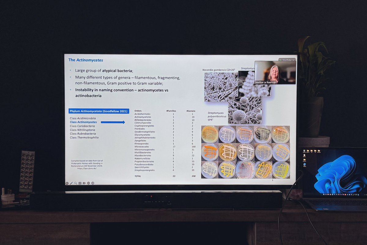 PrinsAlaric's tweet photo. Tuning into @BISMiS_ LIVE to hear our deputy-director talk all things Actinobacterial research happening at AMHBI, @CPUT 🦠🧫 https://t.co/gIm9KaG7ed