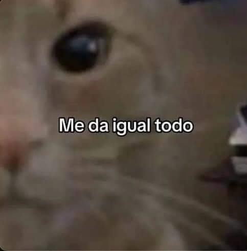 En Júpiter (@en_jupiter_) on Twitter photo 