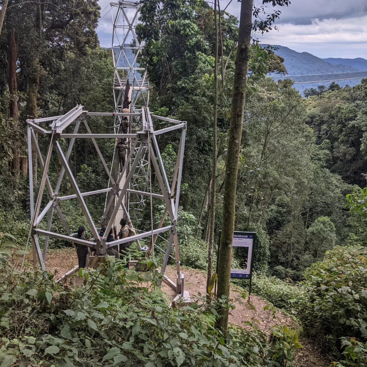 Akagera International School tweet media