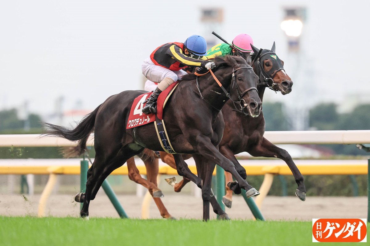 gendai_keiba's tweet image. 出世レースを制したのはクロワデュノール！
デビュー２連勝で重賞タイトルを掴みました。
#クロワデュノール #北村友一
#東京スポーツ杯２歳Ｓ