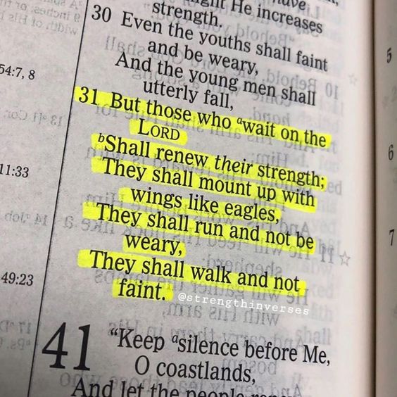 Bible365_'s tweet photo. Isaiah 40:31 https://t.co/0gDbc1ZuzB