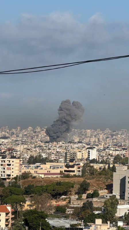 Mario Nawfal tweet media