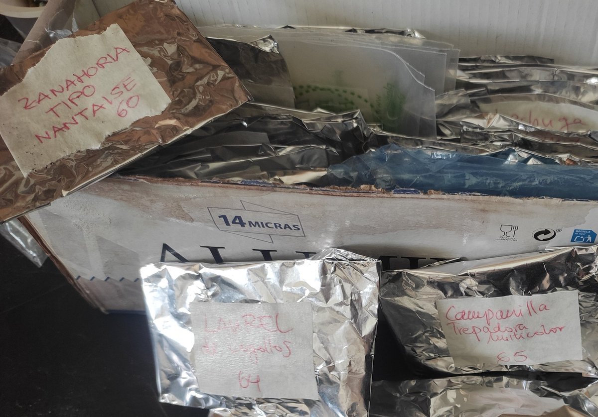 Nuestro banco de semillas sigue creciendo: de flores, frutas, hortalizas, comestibles, criollas ... sin embargo hay algo que vamos a incorporar a nuestro semillero que no esperas 💭