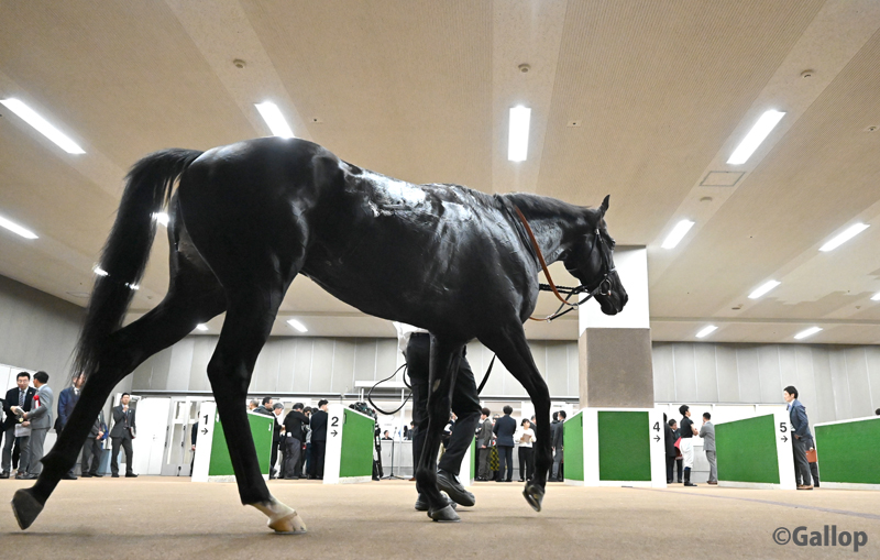 GALLOP 当選 クオカード ワグネリアン17東スポ2歳ステークス 復刻!!週刊Gallop表紙キーホルダー | サンスポe-shop