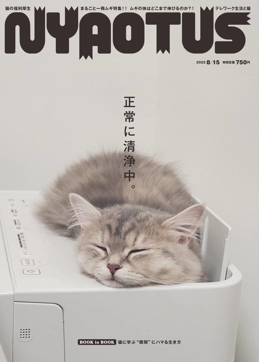 mariemugi2's tweet photo. 過去の写真見返してたら、親バカが行き過ぎて雑誌風にうちの猫たちを加工したヤツ出てきた https://t.co/PHqyHIlGhl