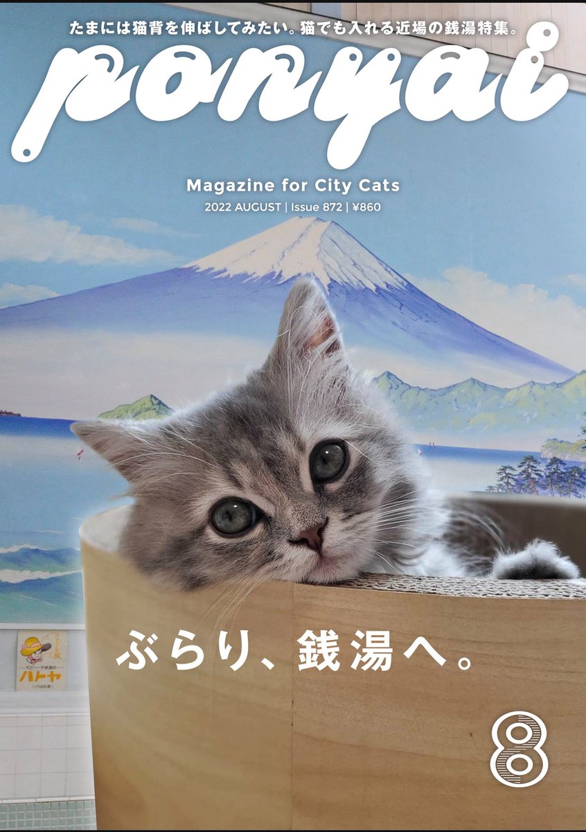 mariemugi2's tweet photo. 過去の写真見返してたら、親バカが行き過ぎて雑誌風にうちの猫たちを加工したヤツ出てきた https://t.co/PHqyHIlGhl