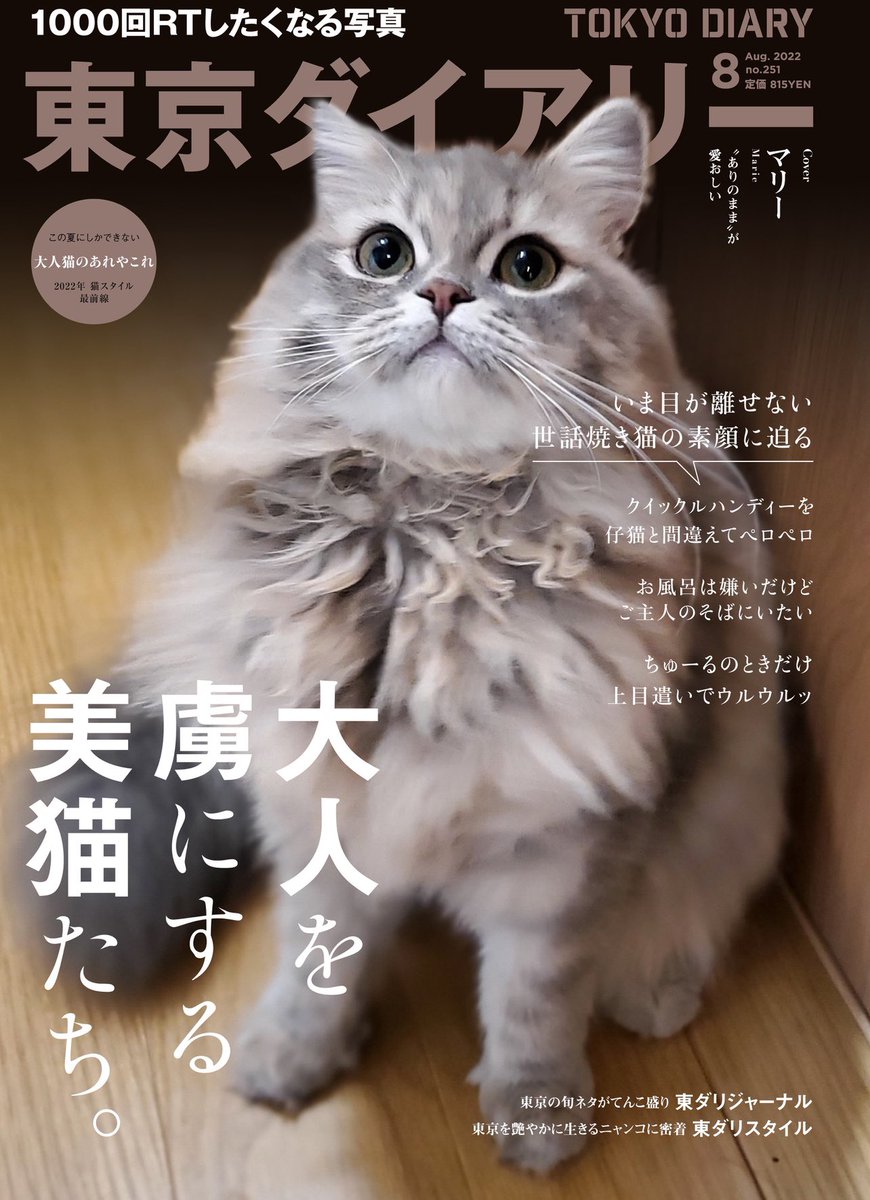 mariemugi2's tweet photo. 過去の写真見返してたら、親バカが行き過ぎて雑誌風にうちの猫たちを加工したヤツ出てきた https://t.co/PHqyHIlGhl
