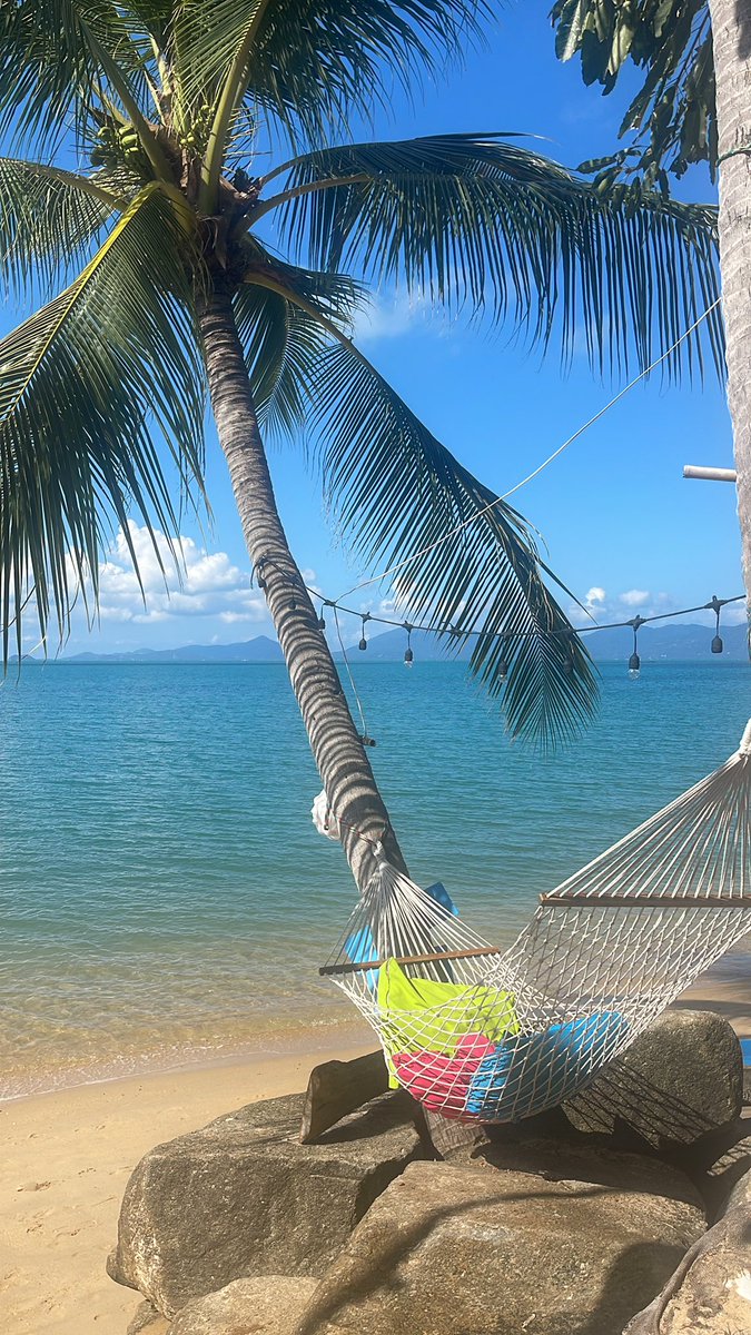 TradingAcademie's tweet photo. 🇹🇭🏝️Hamac, bord de l’eau, et un marché en feu 🔥 : Powell balance, les indices tremblent, les cryptos explosent ! Je te résume ma semaine de trading en mode chill🧘
https://t.co/hg0uv7yADL
#Trading #Crypto #BullRun #JeromePowell #Thaïlande #Podcast #Finance #RelaxTrading https://t.co/yZdJ5ZrtBG