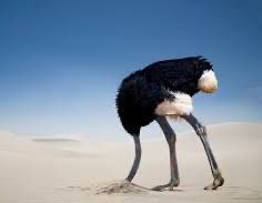 itrustassure's tweet photo. Don’t be an ostrich and end up being the next organisation in the news for all the wrong reasons.
Contact us to find out how iTrust can help.
#WorkplaceIntegrity #NoToWrongdoing
#MoreThanTech
@AshMindSet @vanillaweb @johno_67 @GencoCS @Synecore @DamianMatthew70 https://t.co/7nNvGflhW5