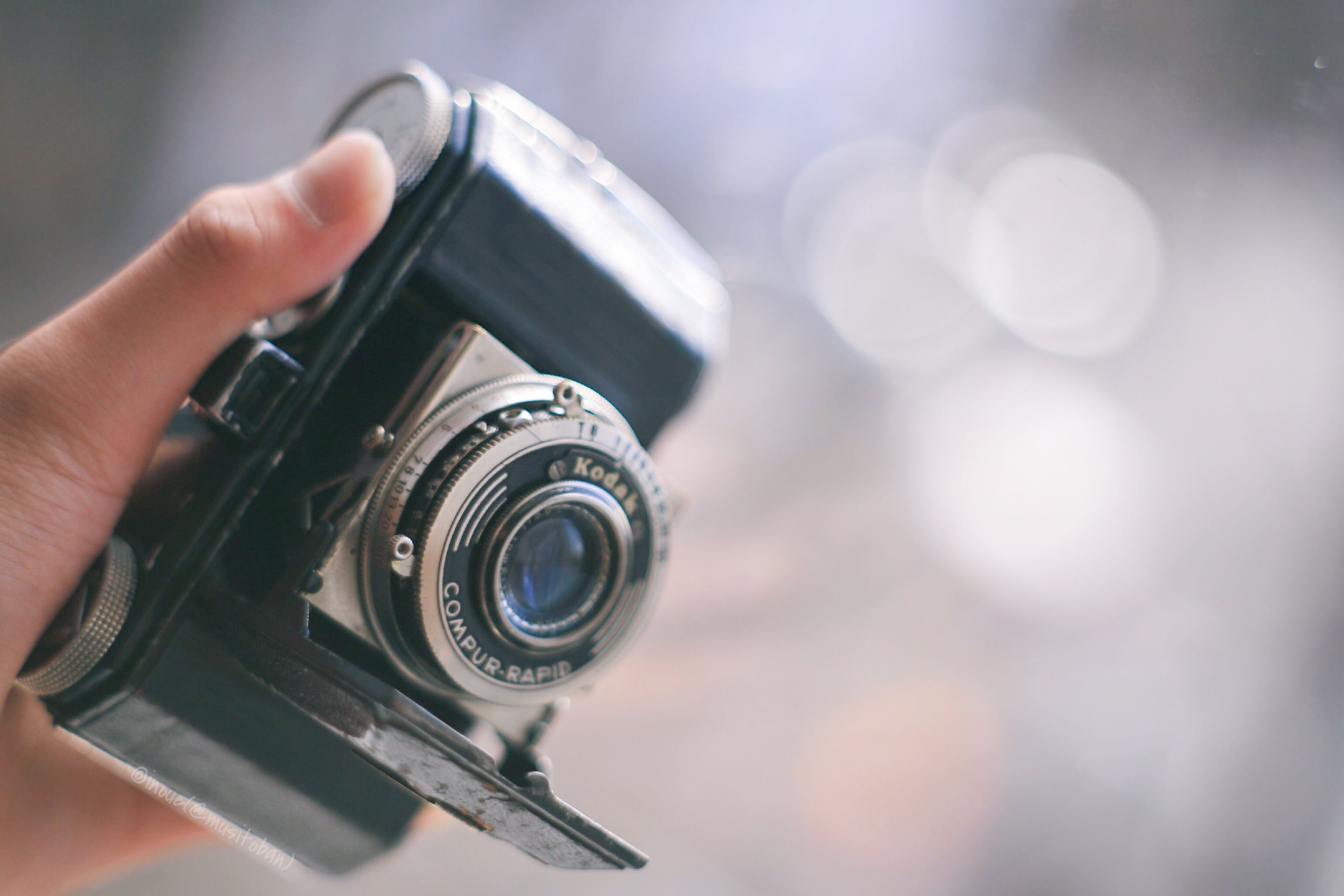 レチナ118 レチナⅠ型 #118 激レア Retina 2025年最新】コダック