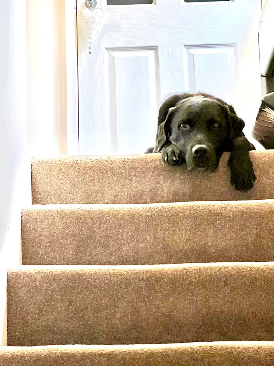 Dr James Shea tweet media