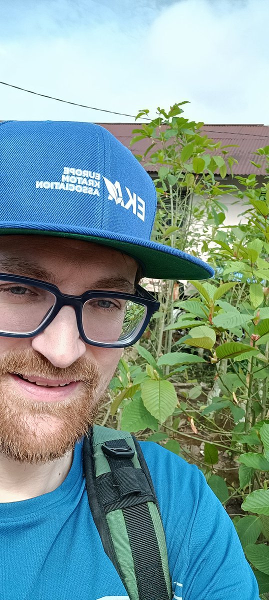 docsteinmetz's tweet image. Liebe Grüße aus Indonesien. Ich habe mich in den letzten Tagen intensiv mit #Kratom &amp;amp; dessen Ernte, Transport, Verarbeitung &amp;amp; Qualitätskontrolle beschäftigt.