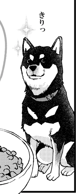 …である。 