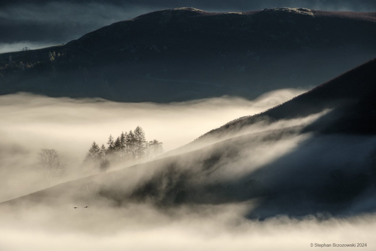 Stephan Brzozowski tweet media