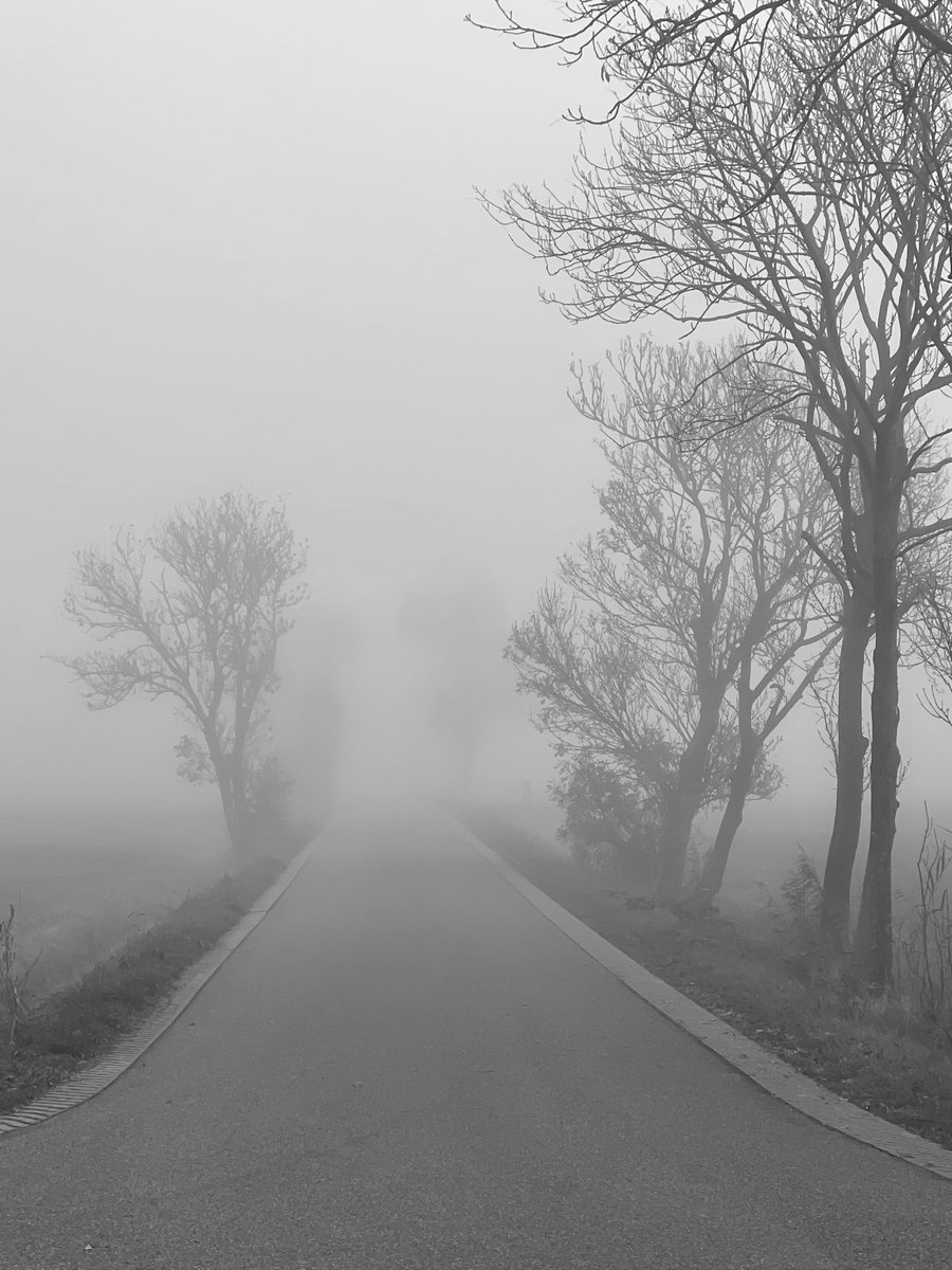 Het zijn de kleine momenten die het leven zo bijzonder maken. Vroeg in de ochtend, wanneer de wereld nog slaapt, sta ik stil bij de schoonheid van het Groninger platteland. ✨
.
#mooigrunnen #mooigrunneninbeeld #groningen #mistigemorgen #mooimoment #natuurfotografie