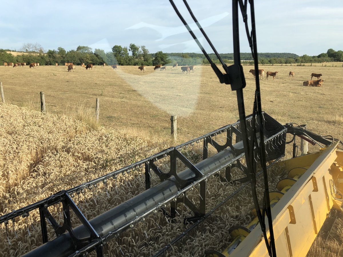 Aides d’urgence : des prêts bonifiés jusqu’à 50.000€ ou garantis jusqu’à 200.000€
Avec les banques, le gouvernement apporte sa caution à 2 dispositifs pour surmonter les difficultés conjoncturelles et structurelles.
➡️urls.fr/BkMjHM
#criseagricole #AgriculteursEnColere