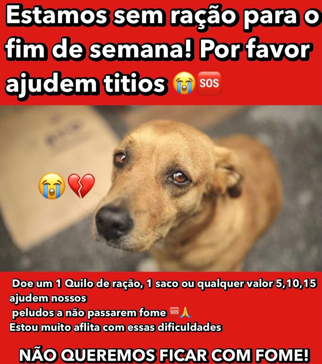 Abrigoseuamigo's tweet photo. ‼️ Você pode fazer a diferença ‼️ 
Ajude esse trabalho de amor com os animais, faça uma contribuição por menor que seja e vc já irá estar ajudando inúmeros animais a se alimentar diariamente.
❌ Precisamos de sua ajuda

Nosso Pix:
abrigoseumelhoramigo@gmail.com

Link da nossa Vakinha:

https://t.co/VgCrJCWPxX