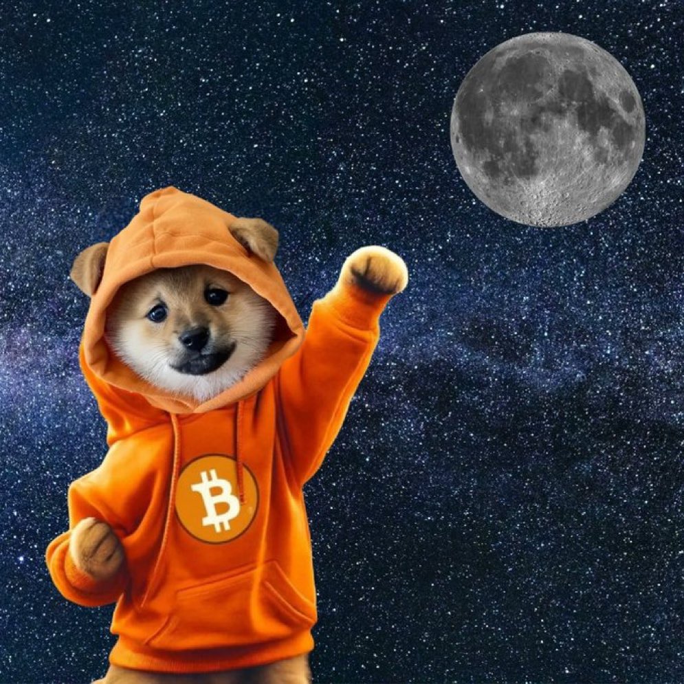 Good morning future crypto millionaires 🩵

Dog GO TO THE MOON.