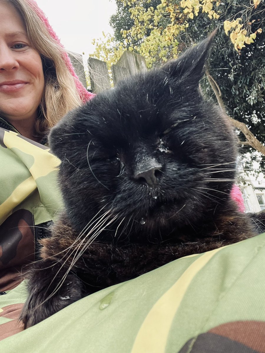 JuliaChurchill's tweet photo. This king of the neighbourhood. I always pass by and hope he’s on his doorstep. He’s so old now, he can barely open his eyes and he dribbles. His owner said he thought it was the end last week but he bounced back. We have a routine. I sit on the pavement and he sits on my lap https://t.co/1TckjUtsNR