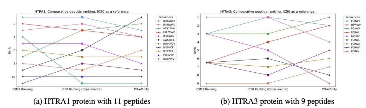 Ranking protein-peptide binding affinities with protein language models ...