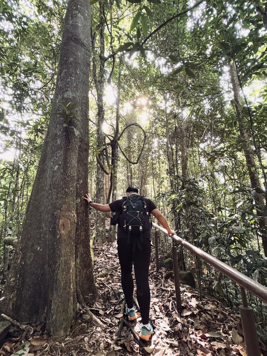 JrMathewKK's tweet photo. Weekends are like the treat you wait for all day that just melts in your mouth in seconds.. Sweet ! But gone too soon ! HUH ! 😮‍💨

📍 Gunung Ngeli Simunjan 
📆 : 16112024 

#gunungngelisimunjan 
#simunjan 
#sarawak 
#hiking https://t.co/MSmGk6Kly4