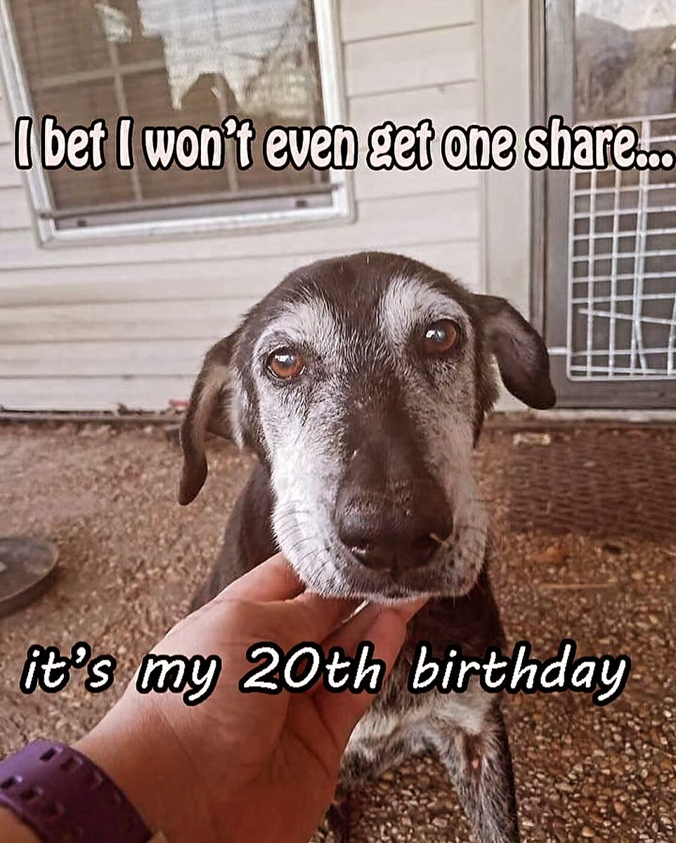 Beyond_theleash's tweet image. 