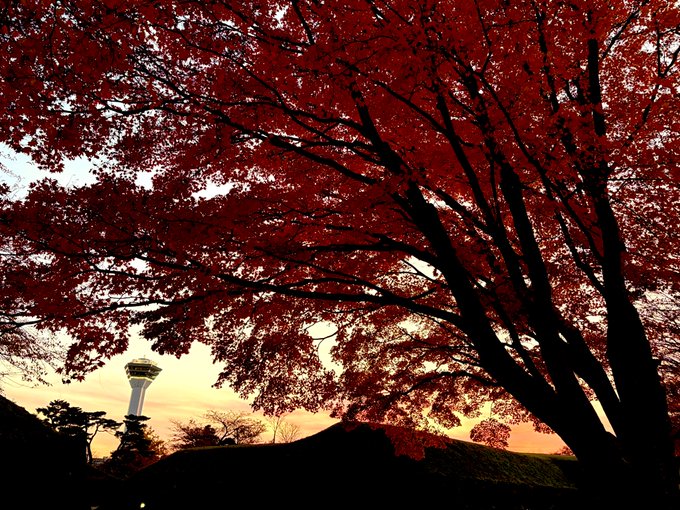 紅葉見れてよかった 