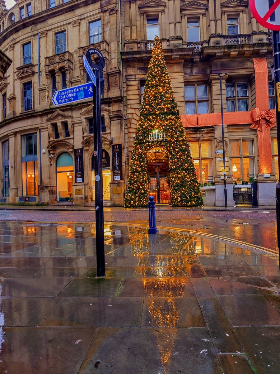 Monica NAUGHTON Crimmins tweet media