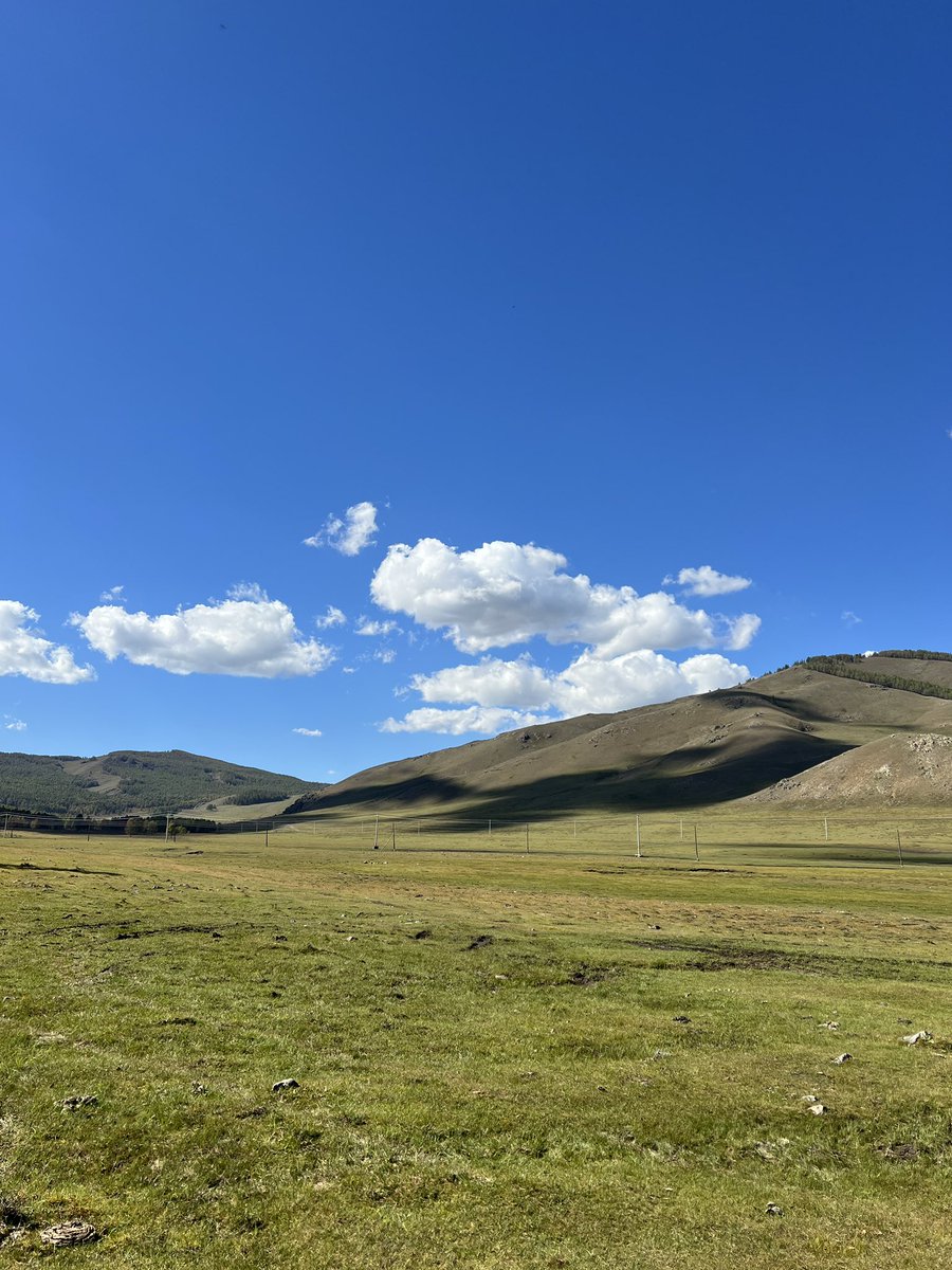 Shallow___py's tweet image. 몽골까지 와서 골프 치는 한국인들 보니까 존나 역겨워서 인간혐오 급상승함 이렇게 아름답고 자연스러운 초원 곳곳에 박힌 어디서 많이 보던 빛깔의 인위적인 잔디들; 미친 것들… 다 들개 밥으로 던져줘야함 가서 나무나 심어 이런 썩을