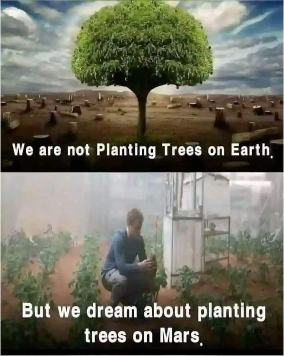 BerenMK73019710's tweet photo. #SaveTree_SaveEarth
#SaveTree_SaveLife https://t.co/QaYIOOGutr