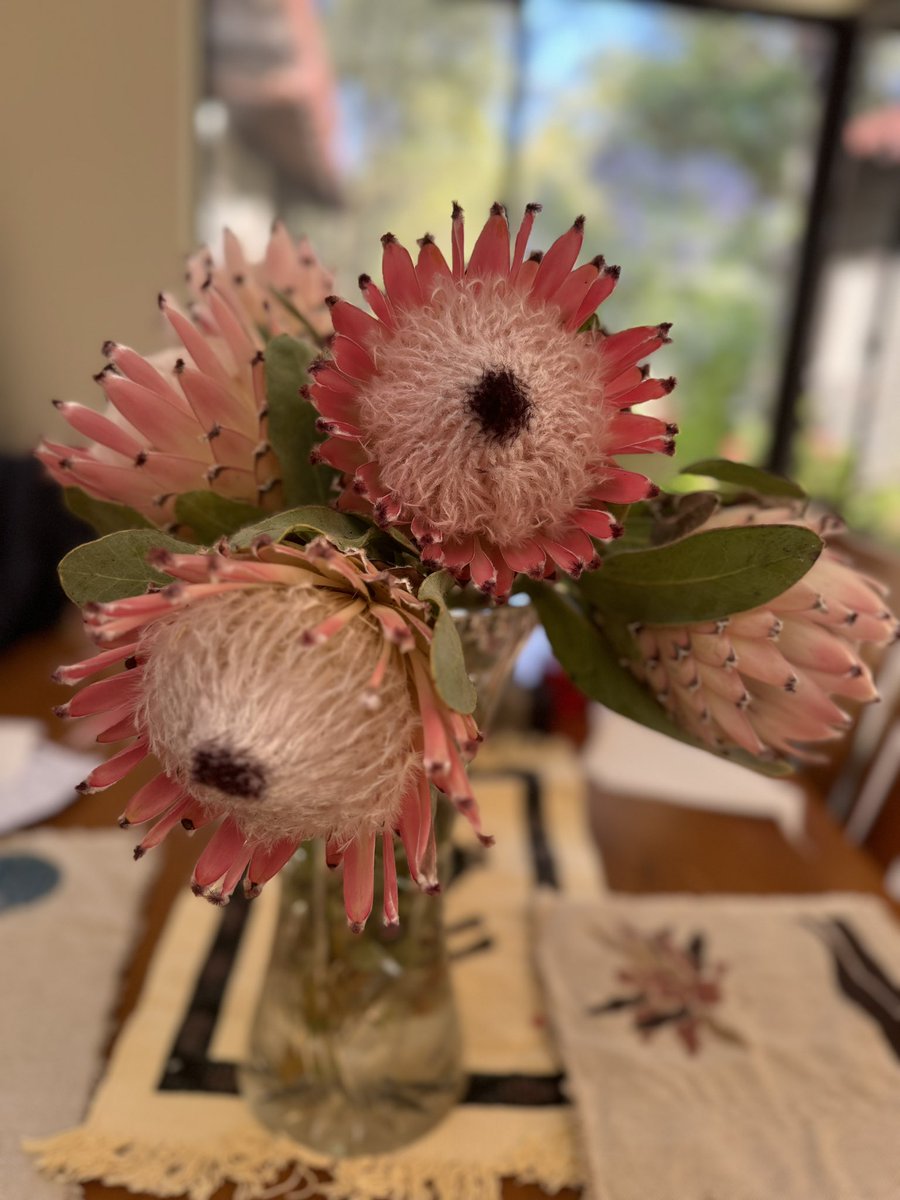 Bringing the outside in! Blooms from my garden