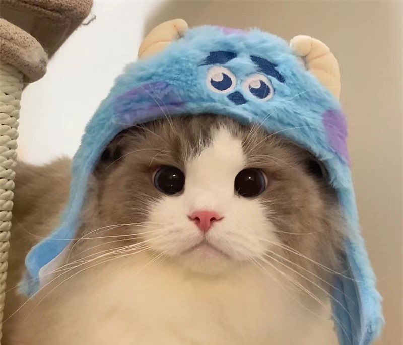 lahasilaro tweet media