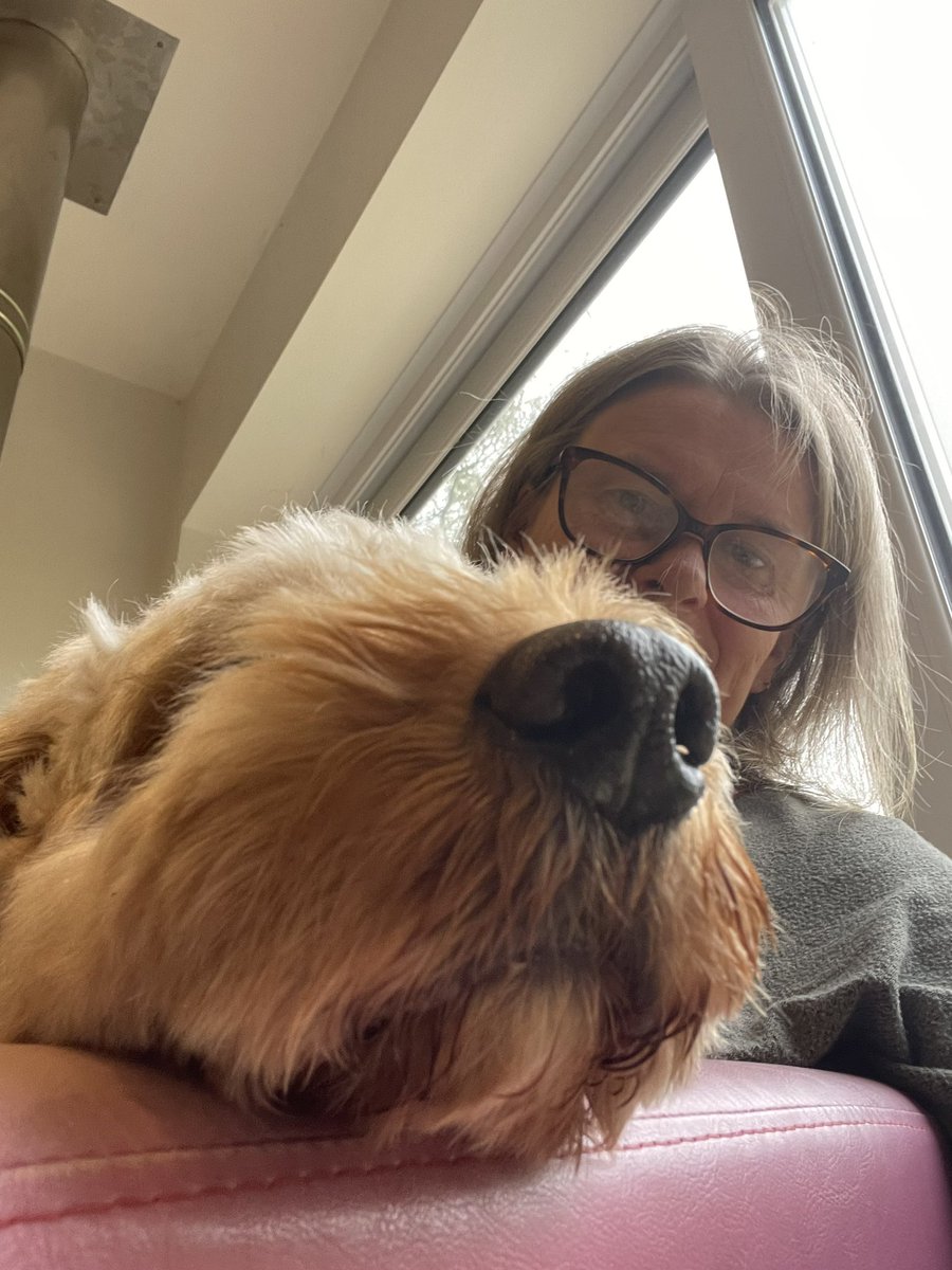 In case anyone is on the move, Basil and I have an account over here motoole@bsky.social <a href="/MNursMichelle/">Michelle Cotter</a> <a href="/PUNC14/">PUNCPlymouth</a> <a href="/DepHeadClinEd/">Tim RN BSc (Hons) PGCert (ClinEd) MClinRes</a> <a href="/HCowls/">Hazel Cowls</a> <a href="/natzeh/">Natalie Berry</a> <a href="/gosia_bal/">#hellomynameis Gosia</a> <a href="/Chloe_D_Nurse/">Chloë</a>