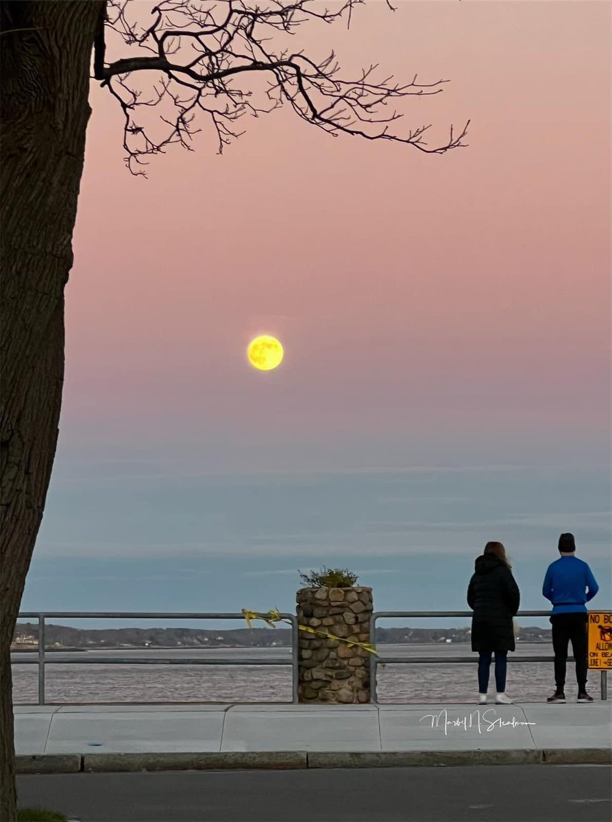 The beaver moon is the the fourth and final supermoon for this year. #riseandshineon7 #beavermoon #fullmoon #supermoon #moon #CoastalLiving #salemwillows #salemsound